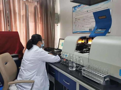 民樂(lè)縣水務(wù)局強(qiáng)化行業(yè)監(jiān)管，筑牢農(nóng)村飲水安全基石——聚焦集中式供水保障